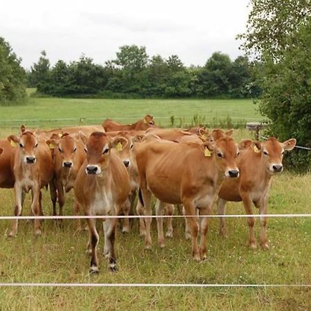 Gite A La Ferme, Au Coeur Du Mene Laurenan Kültér fotó